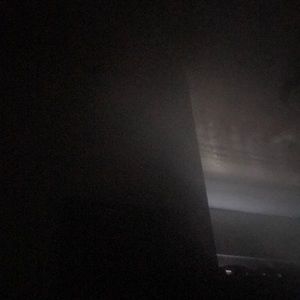 Meet your Posher, Nyla